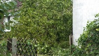 thumbs/20160920_122706.jpg