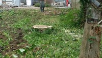 thumbs/20160920_122830.jpg